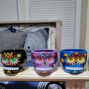 Skull Planter Set - Black, Purple, Blue